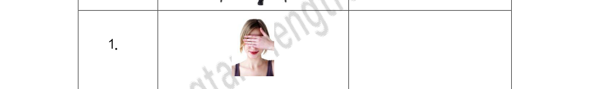 Tranh của câu 1