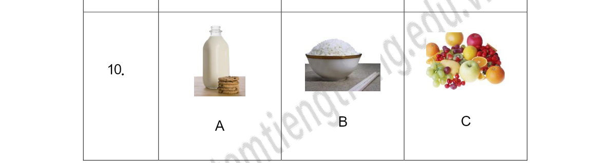 Tranh của câu 10