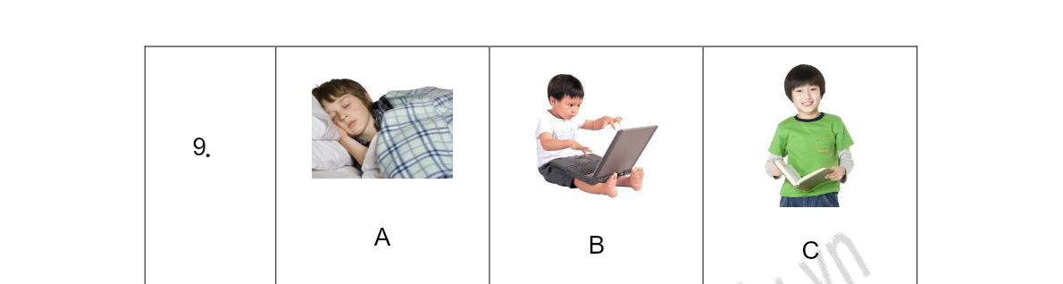 Tranh của câu 9