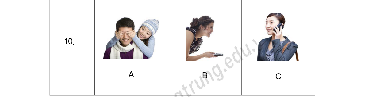 Tranh của câu 10