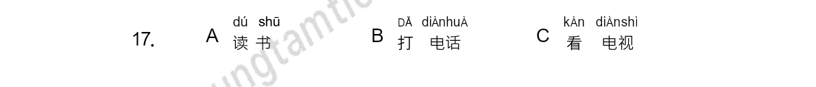 Tranh của câu 17