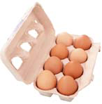 Tranh của câu 5