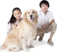Tranh của câu 9