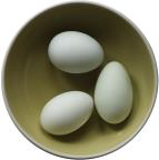 Tranh của câu 2