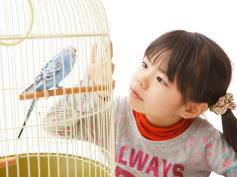 Tranh của câu 8