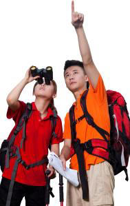 Tranh A
